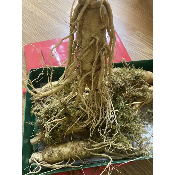 Nhân Sâm nguyên củ Hàn Quốc 1KG Loại to siêu phẩm 6 củ/Kg)