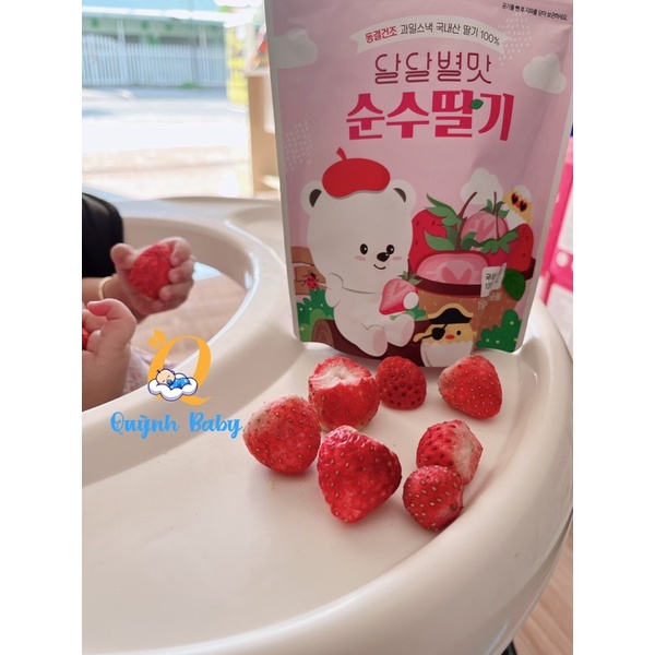 Trái cây/hoa quả khô sấy lạnh Hàn quốc cho bé ăn dặm