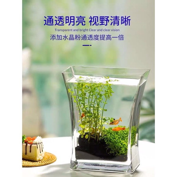 Bể cá thuỷ tinh chất liệu dày dặn