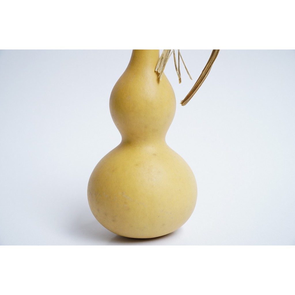 Bầu hồ lô phong thủy trắng nguyên trái nguyên cuống tài lộc | BigBuy360 - bigbuy360.vn