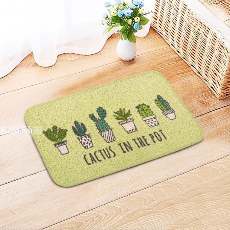 Thảm thương hiệu Carmi hình xương rồng 30cm x 50cm
