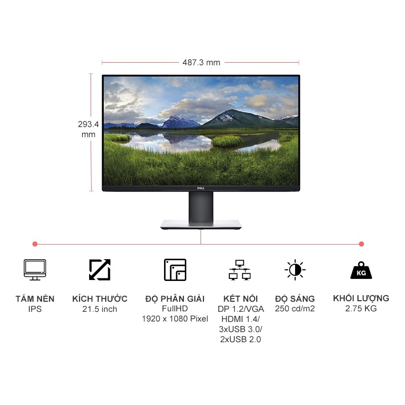 Màn Hình Máy Tính LCD Dell P2319H