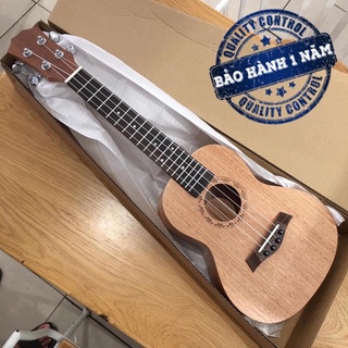 Đàn Ukulele gỗ size Concert | Chơi rất tốt.