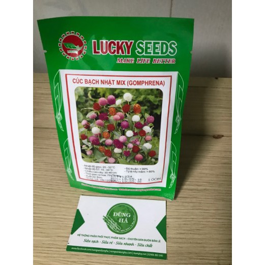 Hạt giống hoa cúc bách nhật mix gói 50 hạt