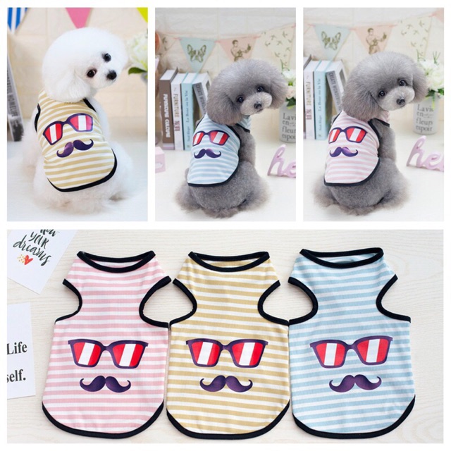 Áo ba lỗ pet hình râu