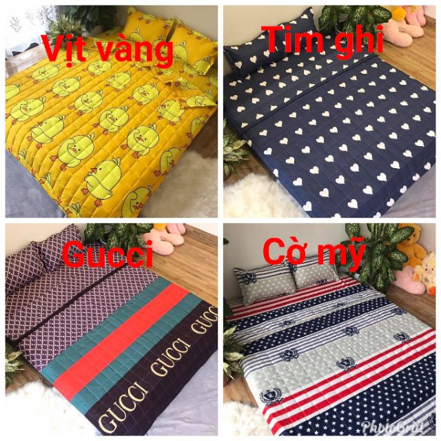 Bộ chăn ga hè 5 món cotton poly