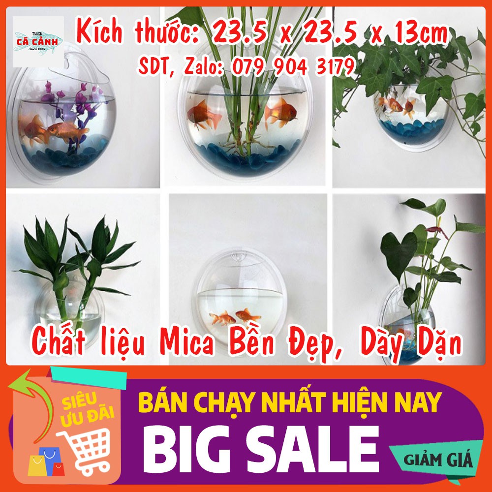 Bế Cá Cảnh Mini Treo Tường Tròn AQUARIUS (23.5 cm x 23.5 cm x 13 cm) [TẶNG KÈM PHỤ KIỆN]