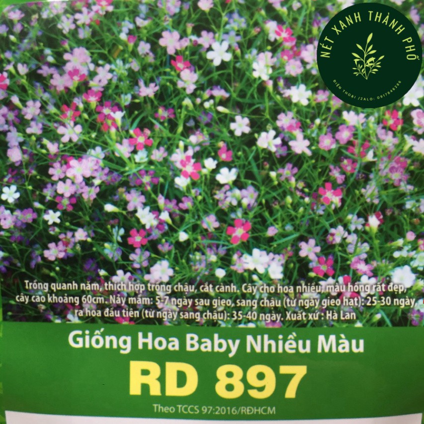 Hạt giống Hoa Baby Nhiều Màu 0,03gr