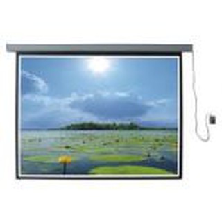 Màn chiếu điện dalite 170 inch