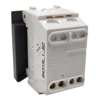 Công tắc 1 chiều 8431M_1_BZ_G19 Schneider