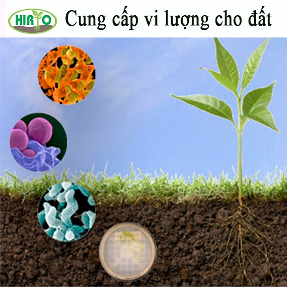 Dịch Trùn Quế HIRYO thủy phân cao cấp - Dành cho Hoa, Hoa Lan, Hoa Hồng...