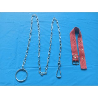 Dây xích mạ kẽm 2 ly xích chó, mèo tặng kèm vòng cổ .