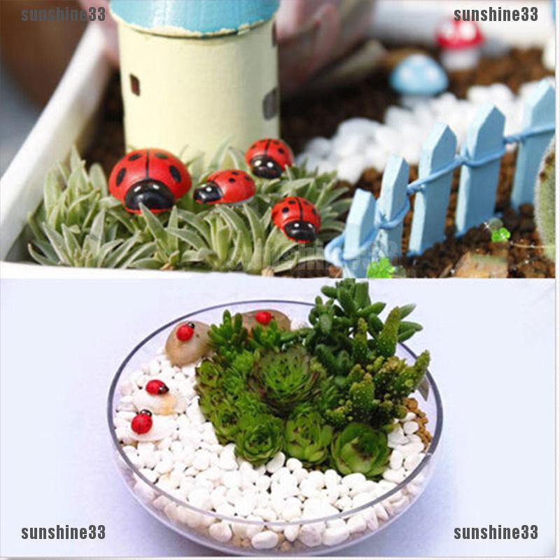Tượng bọ cánh cứng mini trang trí sân vườn