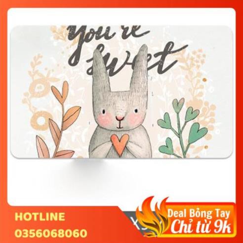 Thảm đá chùi chân siêu thấm Nhật Bản cao cấp mẫu mới 2020 (chọn hình )