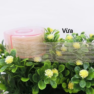 Cuộn kích mí lưới