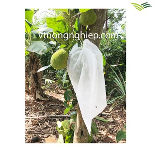 100 TÚI BỌC TRÁI CÂY: MÍT, CHUỐI, Kích thước: 50x70cm