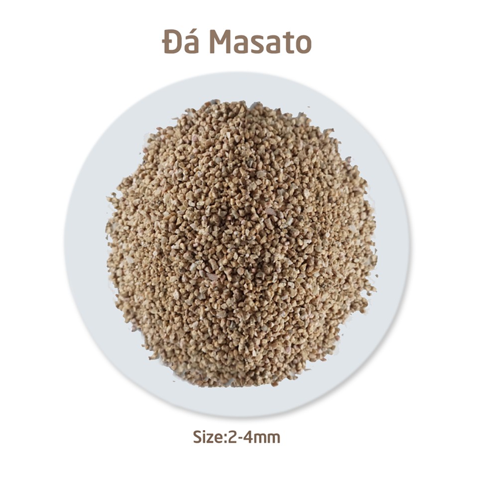 1kg ĐÁ MASATO GIỮ MÀU SEN ĐÁ
