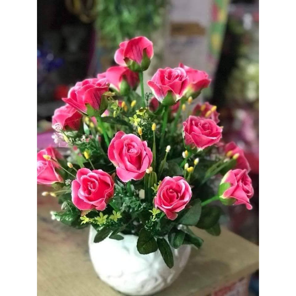 Hồng đà lạt đẹp. 25k/cụm combo 439k