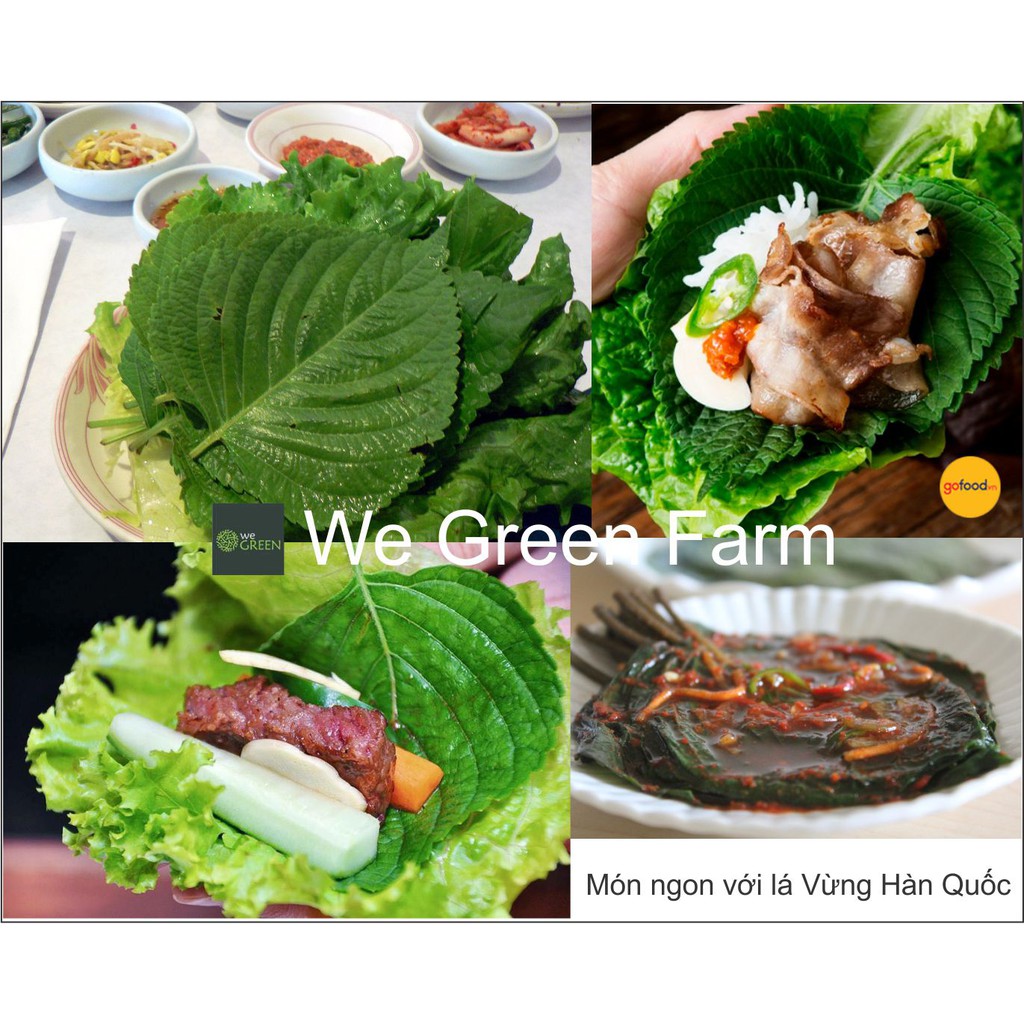 Hạt giống Rau Thơm Mè Hàn Quốc  0,5g - Nảy mầm, sinh trưởng mạnh - Rau thơm không thể thiếu với món nướng