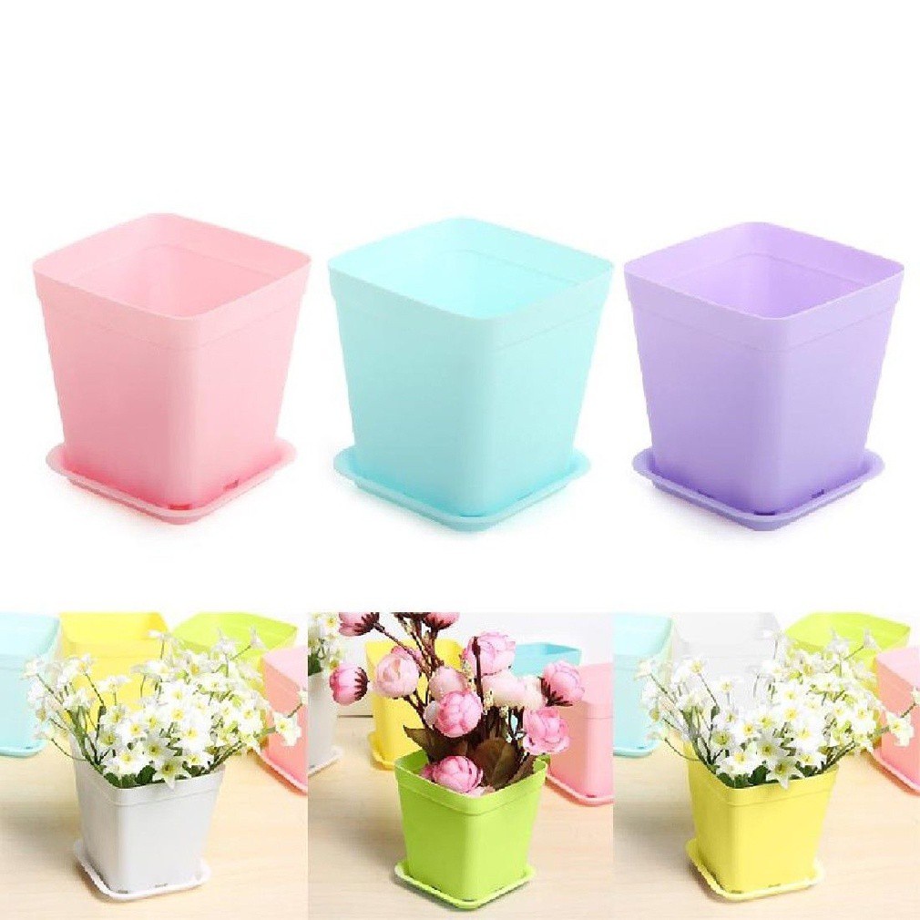 Chậu Nhựa Trồng Cây Mini Nhiều Màu