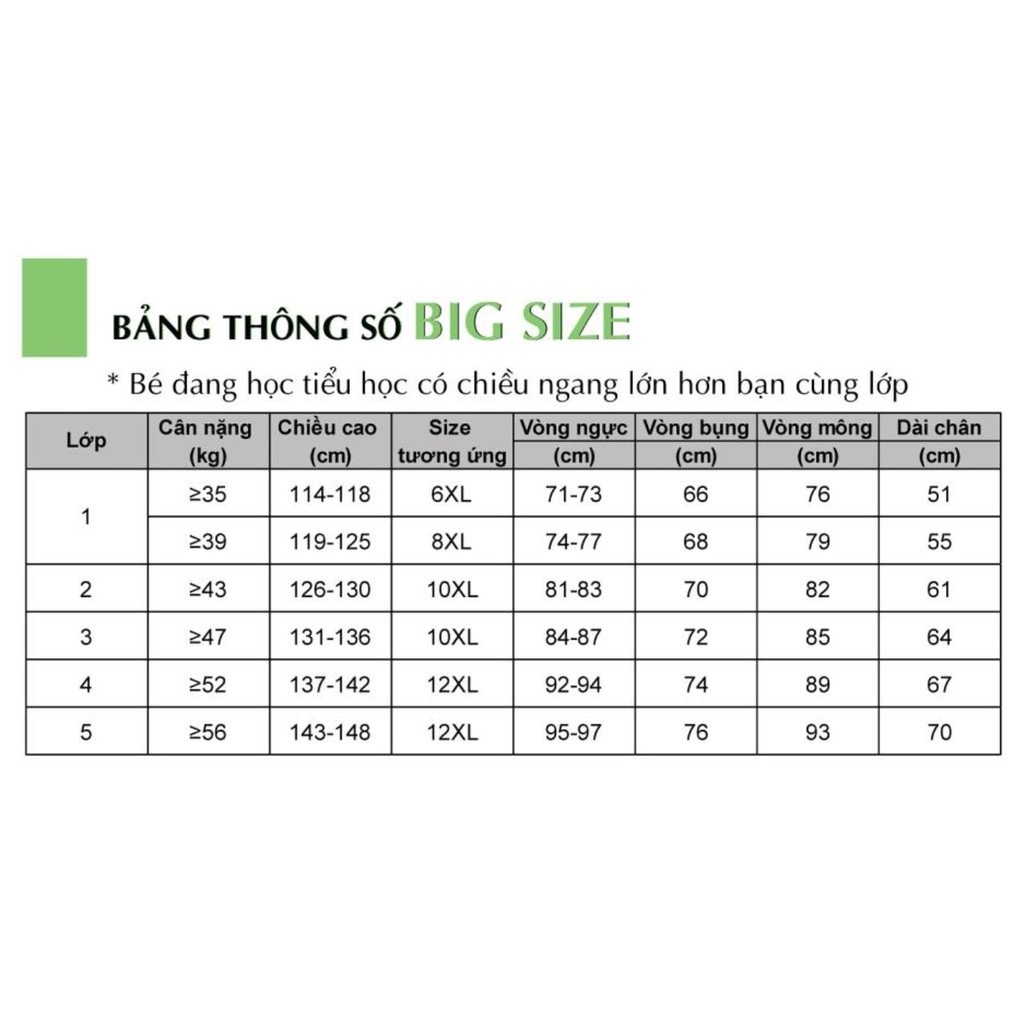 BIGSIZE | Áo và quần đồng phục học sinh cho bé lớn con cotton 100% sợi tự nhiên , thấm hút mồ hôi, ít nhăn- Jadiny