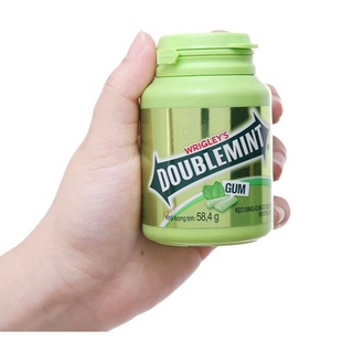 Kẹo sing-gum DoubleMint hương bạc hà hũ 58.4g