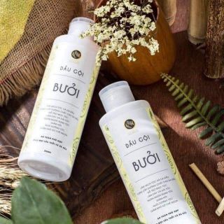Dầu gội bưởi nga hoàng mới