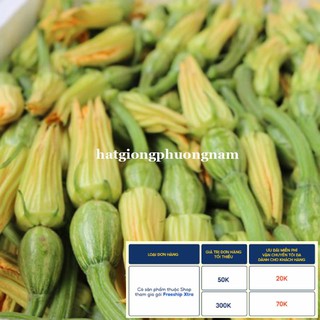 10 H - HẠT GIỐNG BÍ NỤ