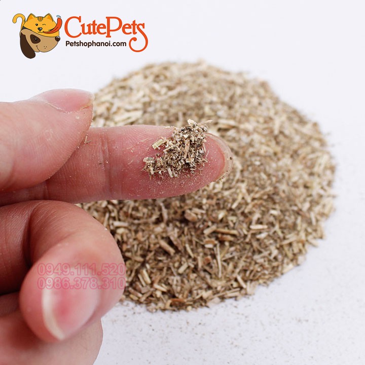 Cỏ Mèo Bạc Hà CAT MINT dành cho mèo - CutePets