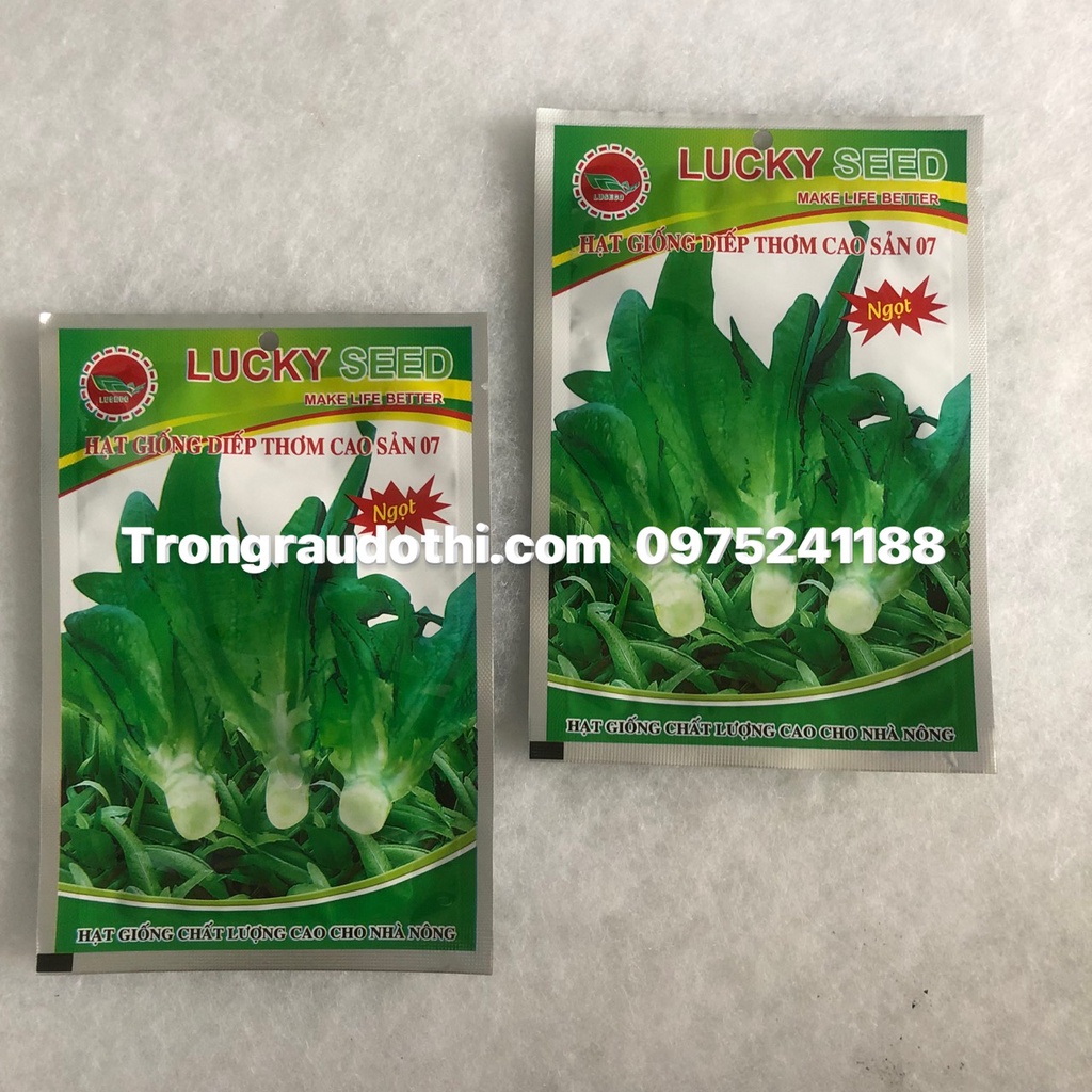 Hạt giống rau diếp thơm ngọt cao sản (ăn rất ngọt) gói 5gram