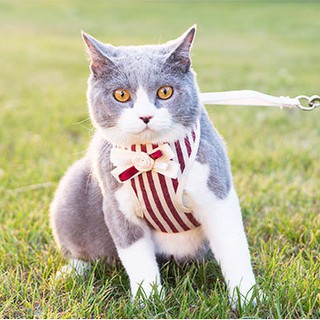 Bộ dây dắt yếm Teddy Garfield cho chó mèo / Thú cưng