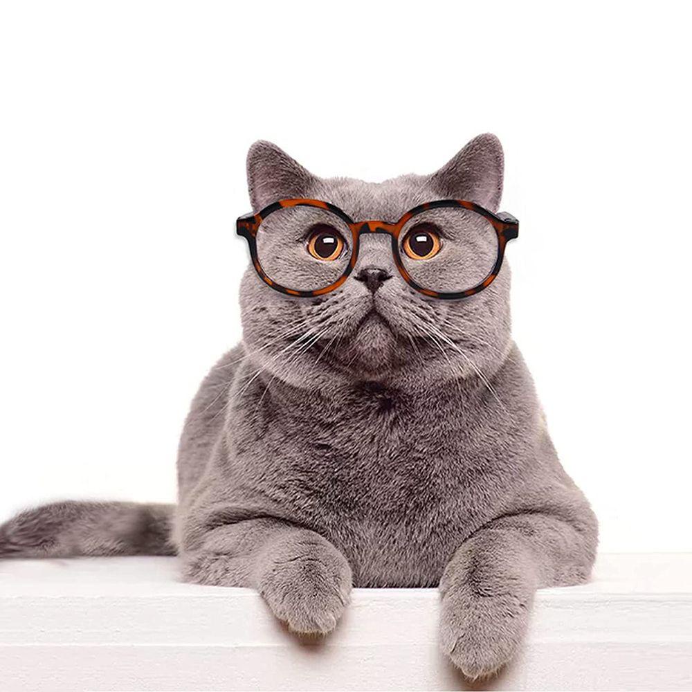 GIOVANNI Kính Mát Gọng Nhựa Nhiều Màu Cho Thú Cưng