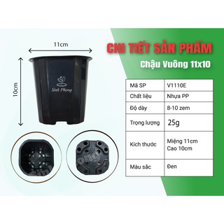 Chậu vuông 11x10 đen (Set 100 cái).