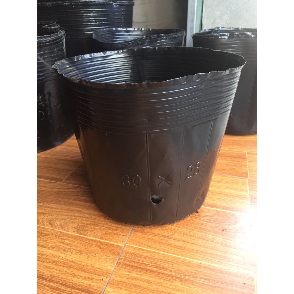 1kg(29-30 cái) bầu ươm cây màu đen giá chỉ 56k