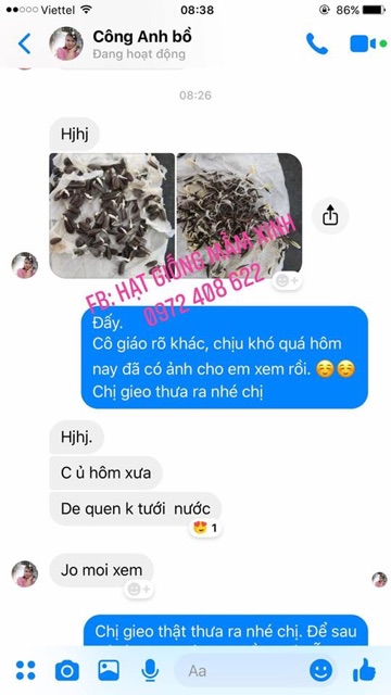 2500 hạt sao nhái (cánh bướm) nhiều màu. Có ảnh thật feedback