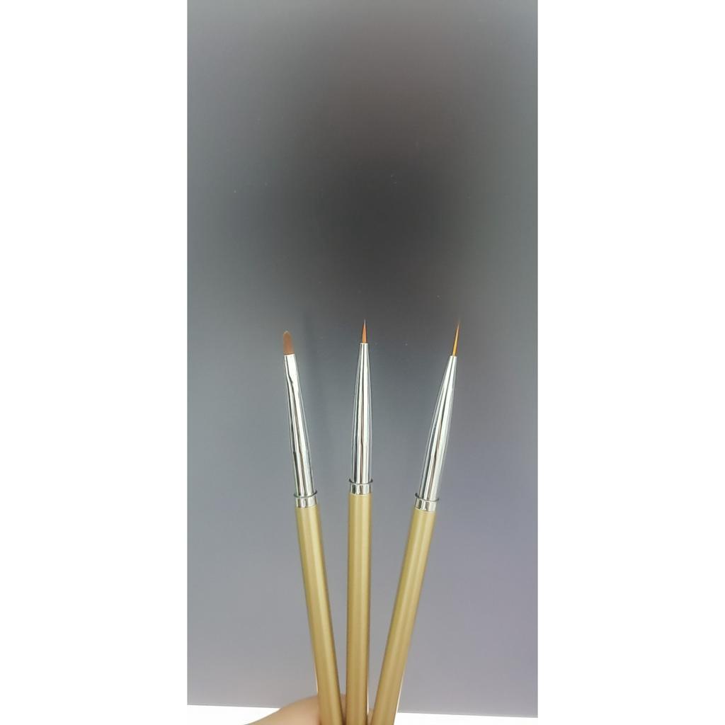 Bộ ba cọ Nhật Dingxi - Cọ hoa cúc vẽ móng ( xanh , nâu )  - Phụ kiện đồ nail