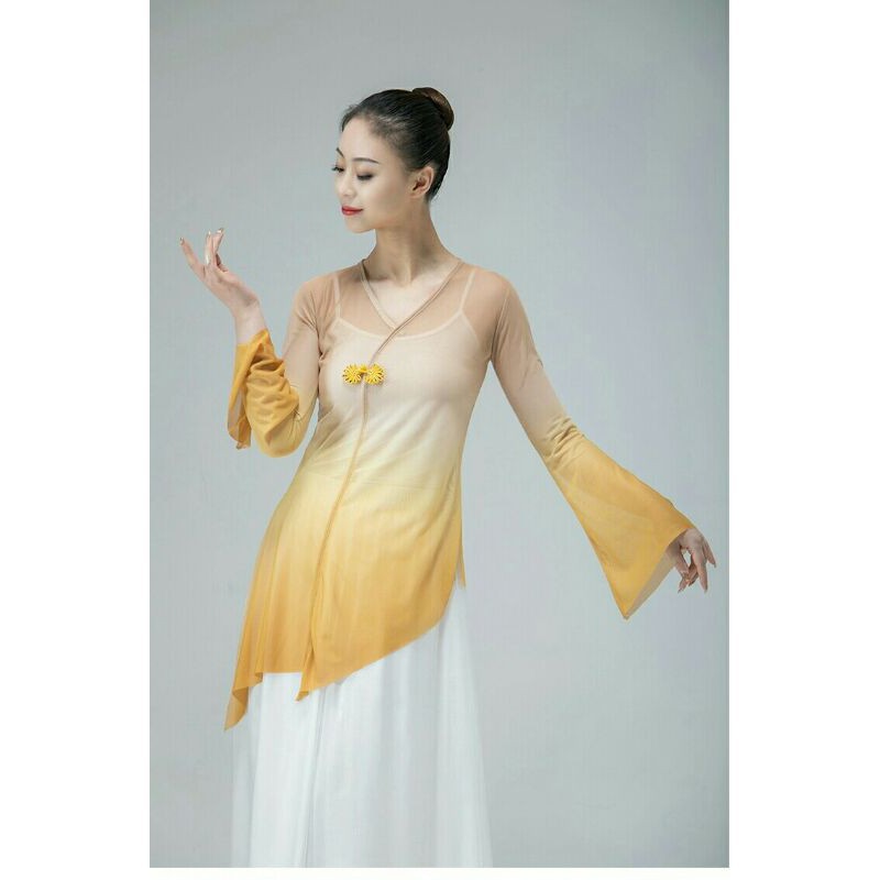 Áo lưới xẻ tà múa cổ trang Trung Quốc A91 Diễm Phương | BigBuy360 - bigbuy360.vn