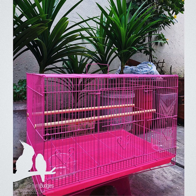 Lồng chim lớn sơn tĩnh điện 40x60 (DxR) nuôi: vẹt, chào mào, chim cảnh, sóc... đủ phụ kiện (2 cóng ăn, 1 cầu đứng).