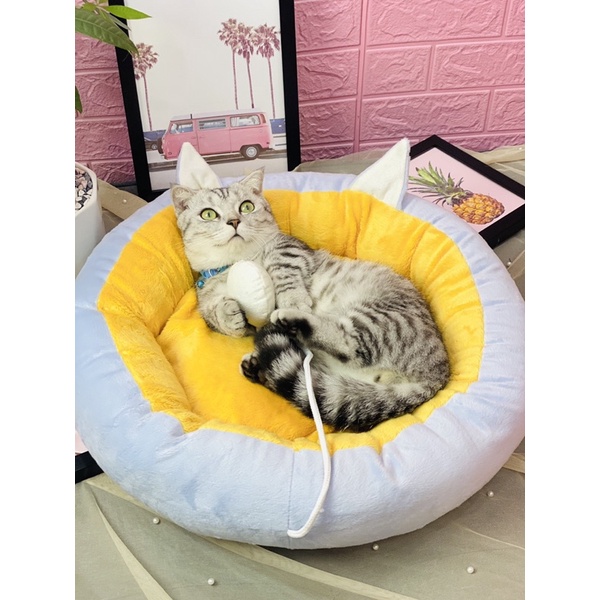 Nệm cho mèo dễ thương