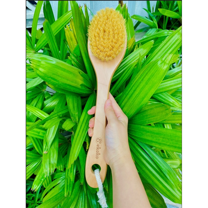 Bàn chải tắm khô Vegan lông bằng sợi xương rồng, keo và sơn phủ 100% tự nhiên - Ekoko Cactus Bristle Dry bath Brush