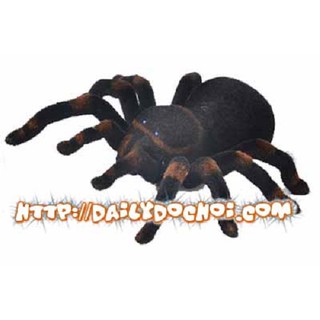 K16 nhện đá Nam Phi điều khiển từ xa