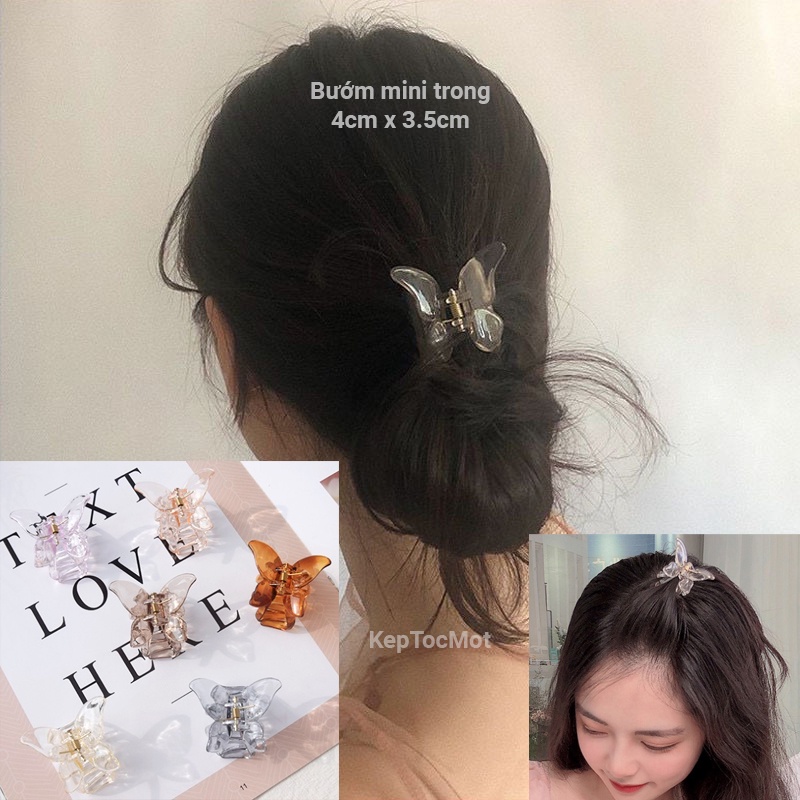 Kẹp tóc butterfly xinh màu thạch nhựa k
