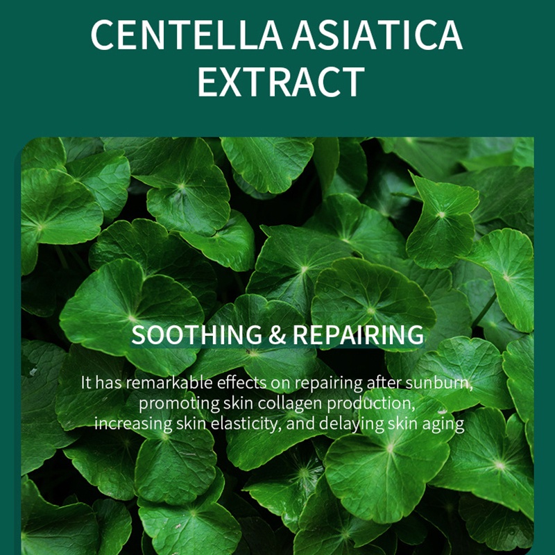 Mặt Nạ Ngủ Dạng Thạch Lacco Centella Asiatica Dưỡng Ẩm Cho Da