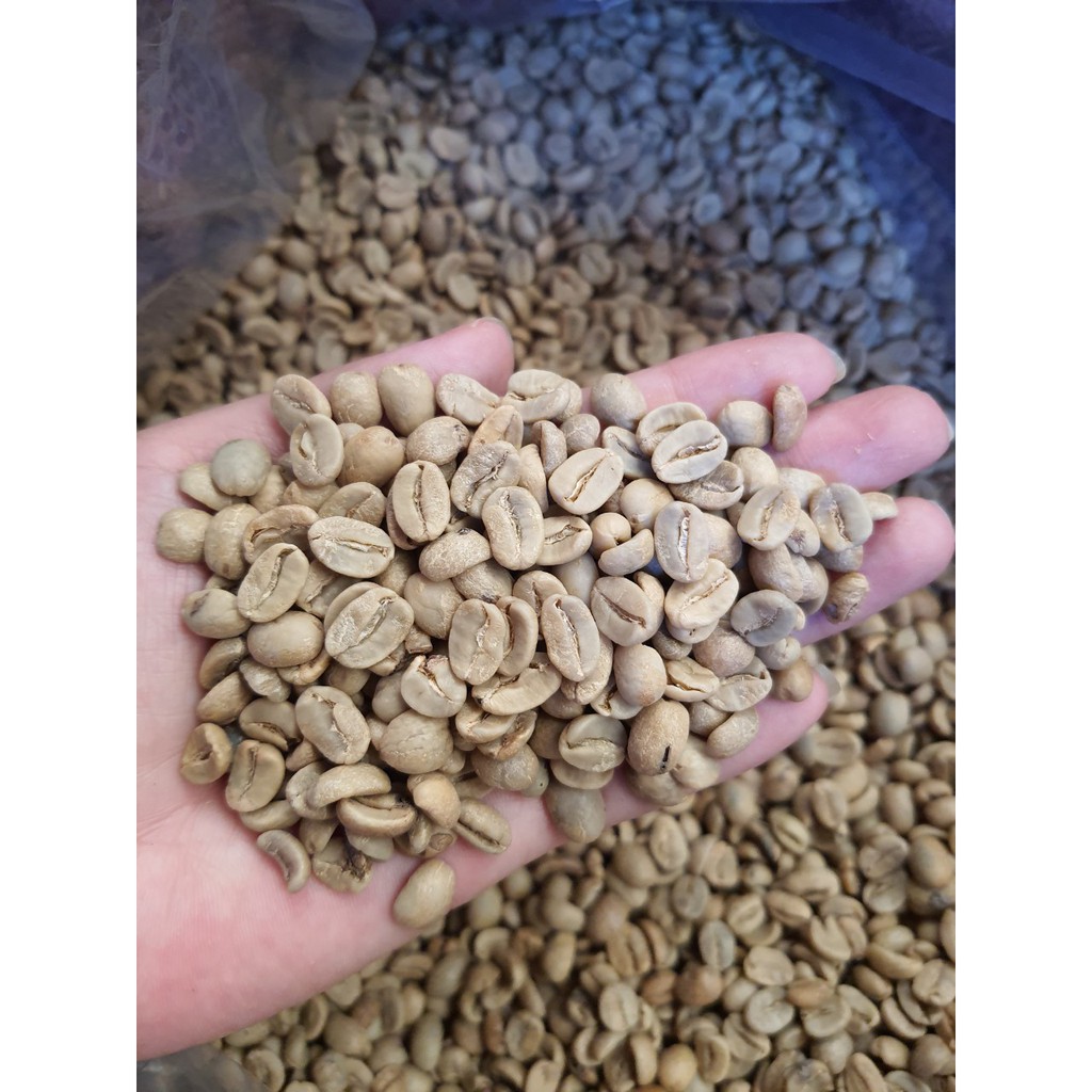 Cà phê nhân xanh Arabica từ cao nguyên Lâm Đồng Việt Nam (5kg)