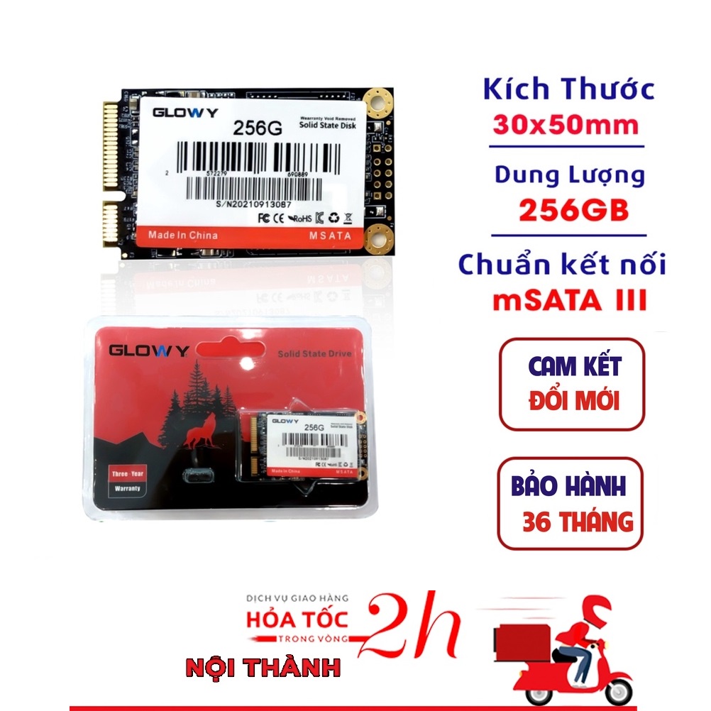 Chính Hãng - Ổ cứng SSD m2/mSATA/2.5&quot; - Gloway/Netac 128GB 256GB - BH 3 năm NEW 100%