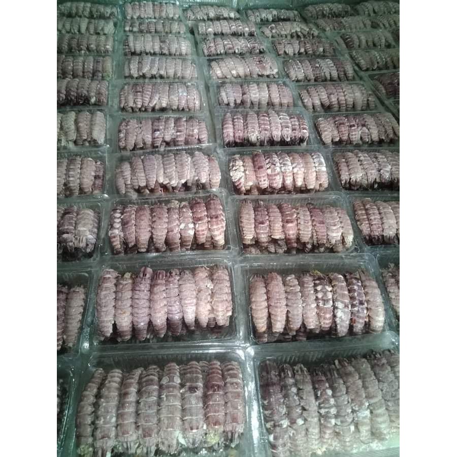 nõn bề bề khơi 500gr  DTFoods(CHUYÊN SỈ)