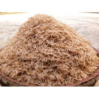 THỰC PHẨM KHÔ RUỐC KHÔ CON RUỐC BIỂN RUỐC TÔM NHỎ