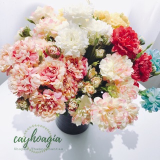 Hoa Giả - Cúc Vạn Thọ Siêu Đẹp