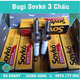 BUGI 3 CHẤU SOVKO