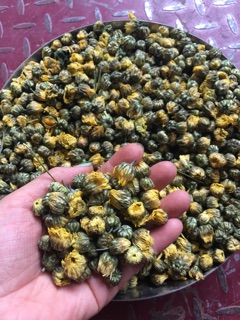 Sỉ combo 1 kg cúc kim cương